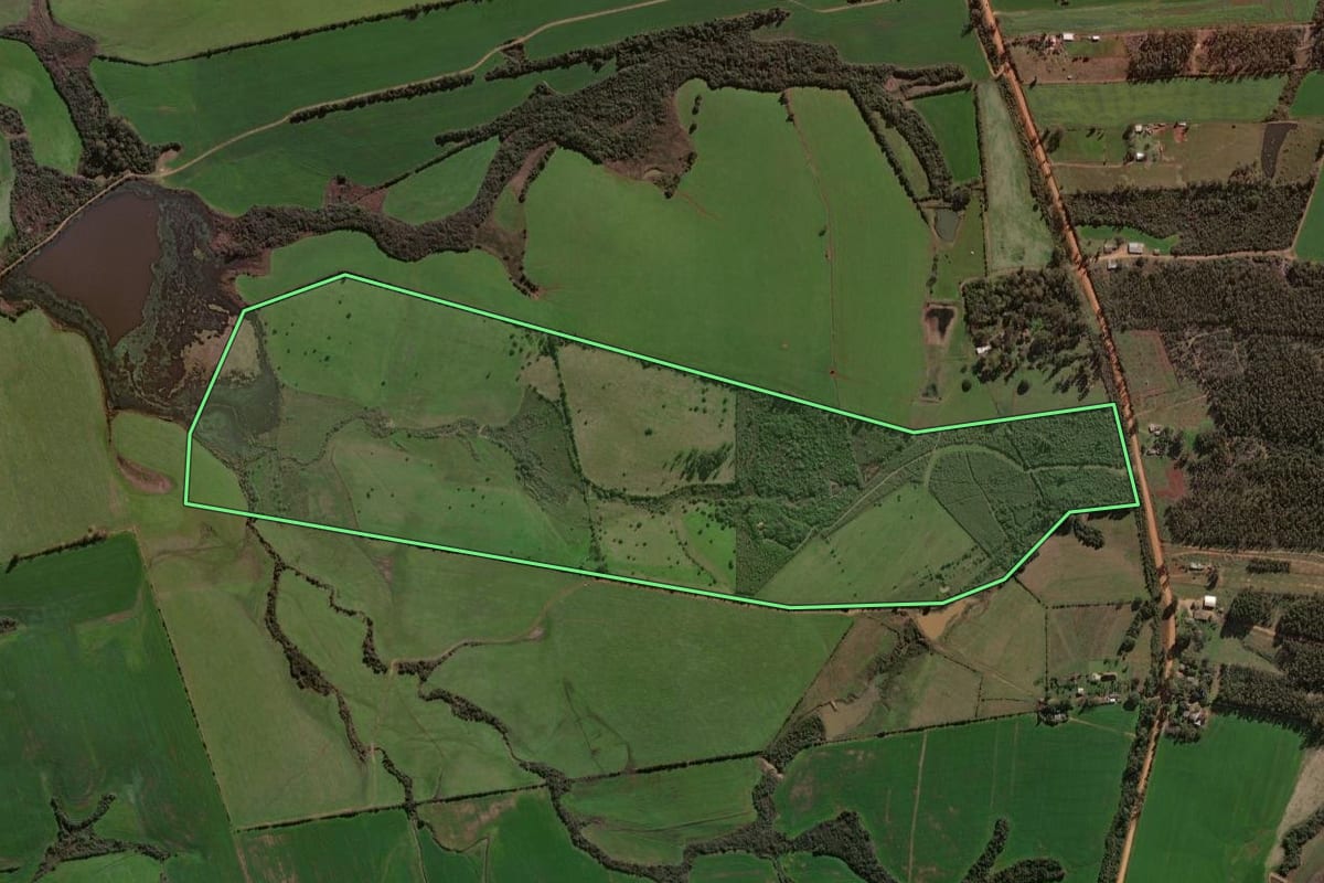 Imagem de satélite do imóvel rural em São Gabriel (RS), com o contorno declarado no CAR desenhado por cima.