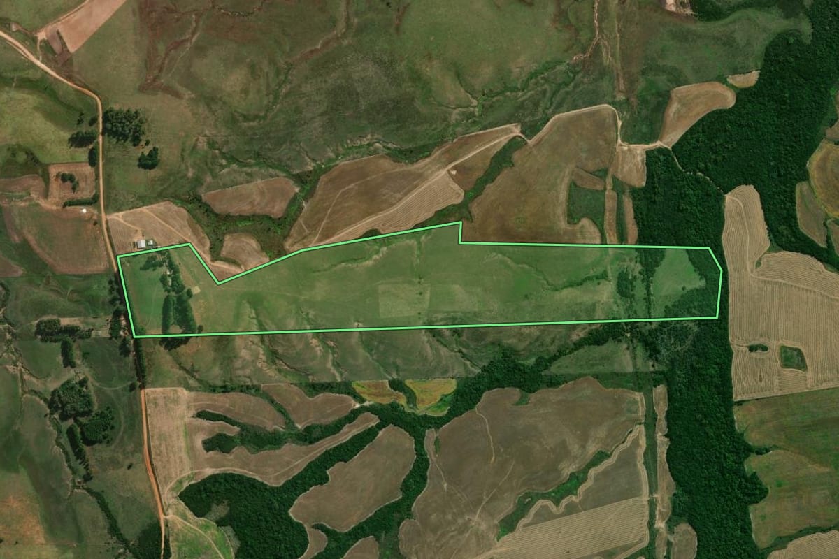 Imagem de satélite do imóvel rural em São Gabriel (RS), com o contorno declarado no CAR desenhado por cima.