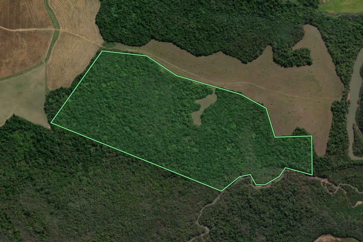 Imagem de satélite do imóvel rural em São Gabriel (RS), com o contorno declarado no CAR desenhado por cima.