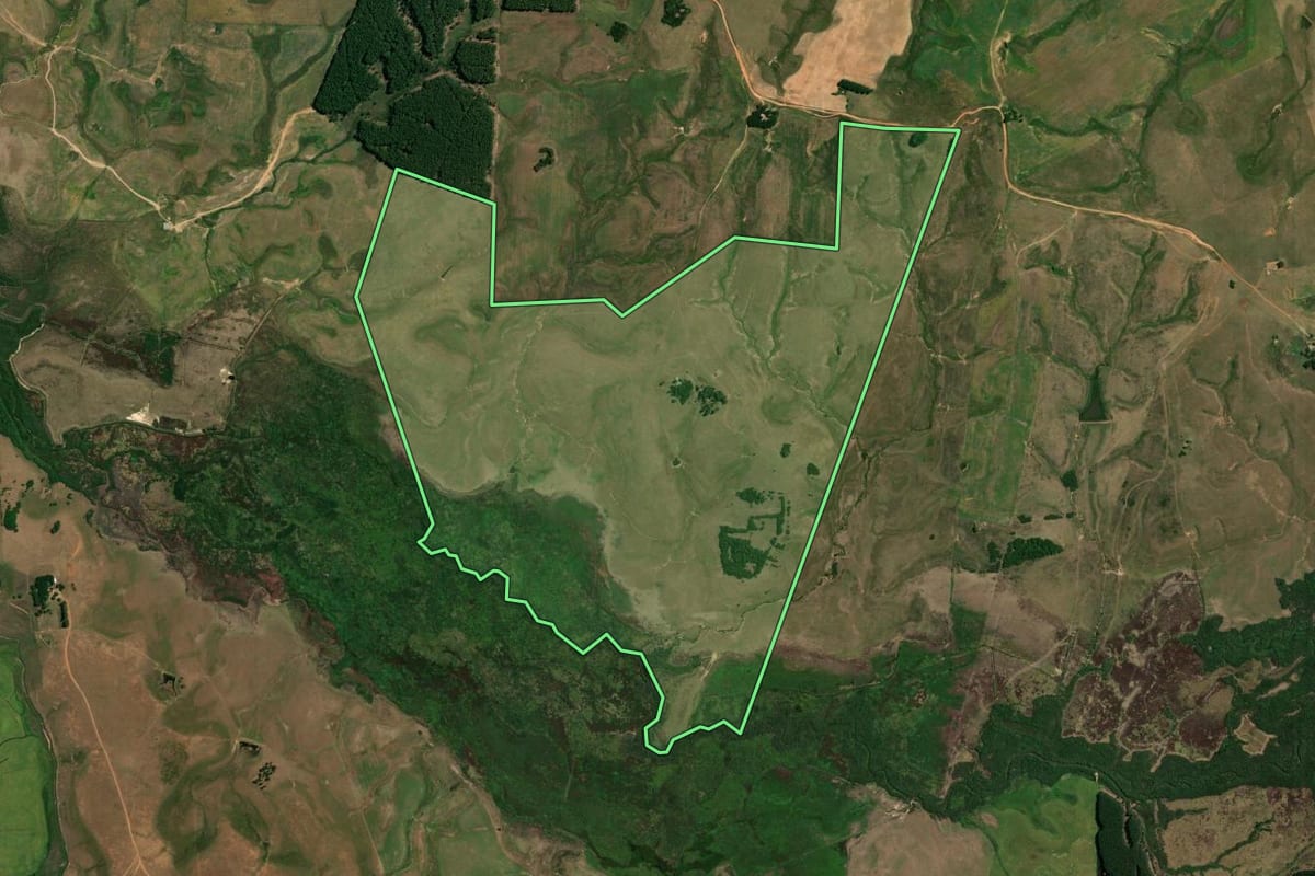 Imagem de satélite do imóvel rural em São Gabriel (RS), com o contorno declarado no CAR desenhado por cima.