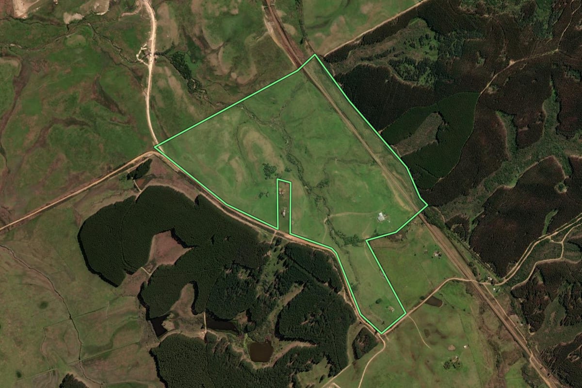 Imagem de satélite do imóvel rural em São Gabriel (RS), com o contorno declarado no CAR desenhado por cima.