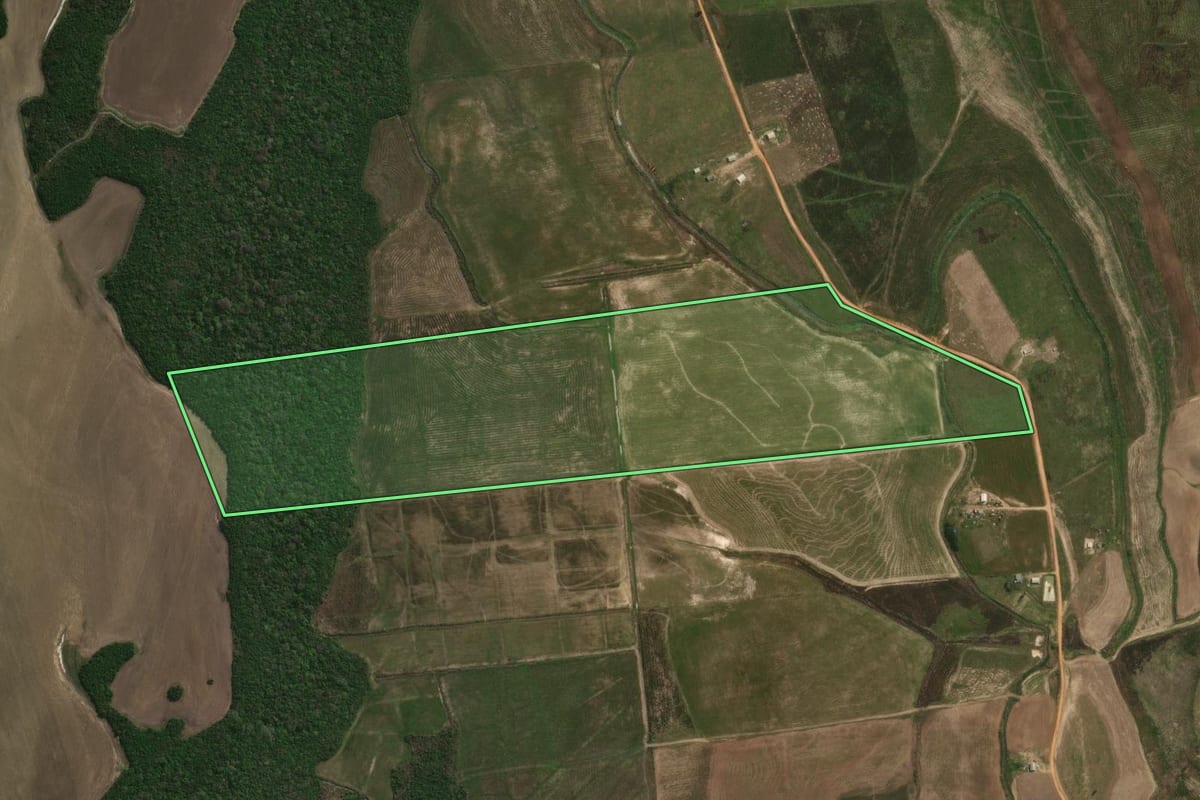 Imagem de satélite do imóvel rural em São Gabriel (RS), com o contorno declarado no CAR desenhado por cima.