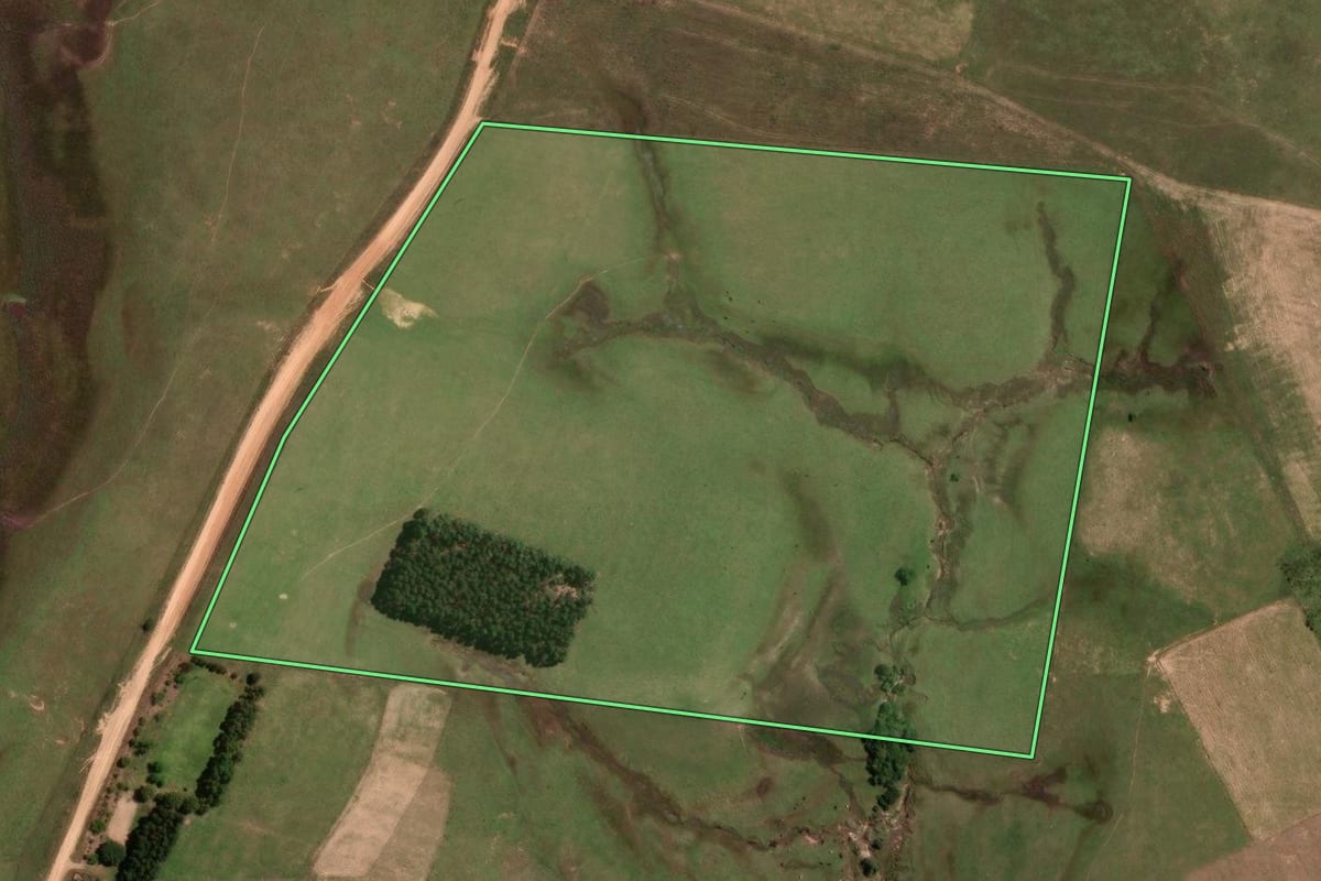 Imagem de satélite do imóvel rural em São Gabriel (RS), com o contorno declarado no CAR desenhado por cima.
