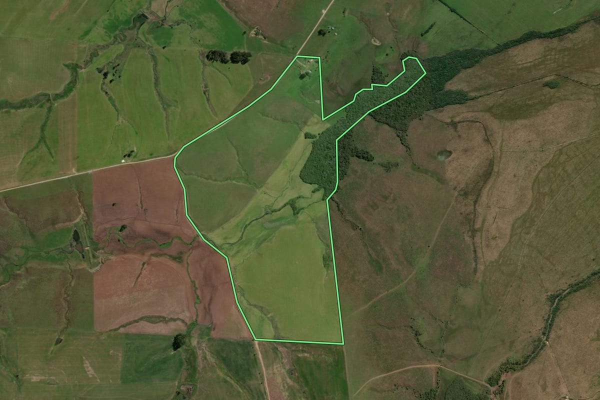 Imagem de satélite do imóvel rural em São Gabriel (RS), com o contorno declarado no CAR desenhado por cima.