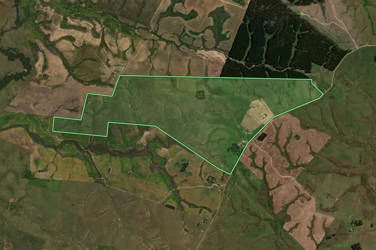 Imagem de satélite do imóvel rural em São Gabriel (RS), com o contorno declarado no CAR desenhado por cima.