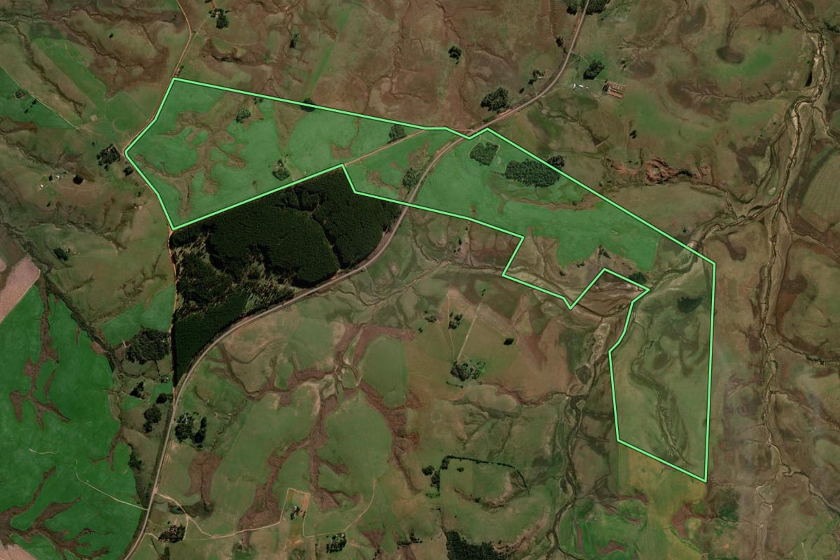 Imagem de satélite do imóvel rural em São Gabriel (RS), com o contorno declarado no CAR desenhado por cima.