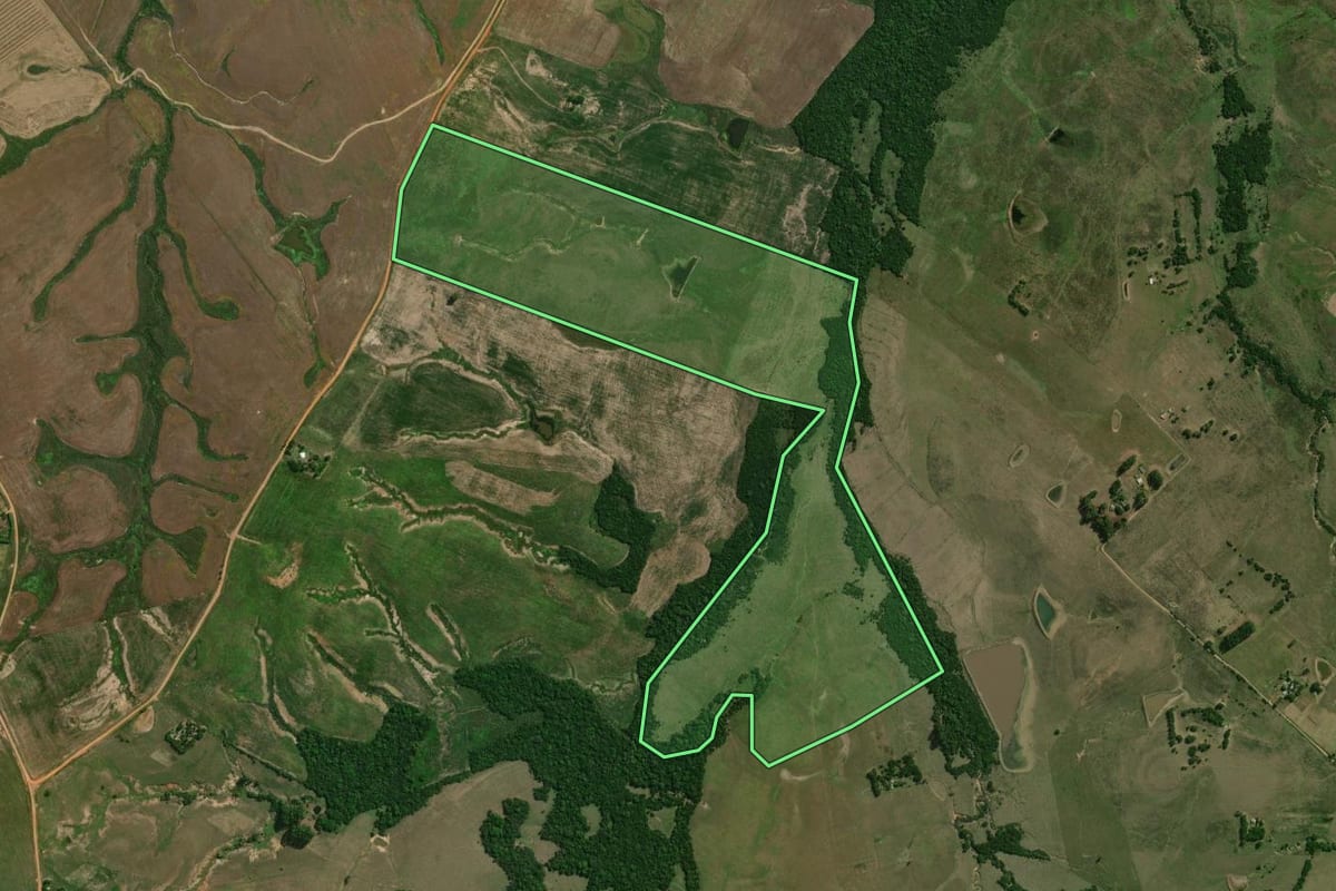 Imagem de satélite do imóvel rural em São Gabriel (RS), com o contorno declarado no CAR desenhado por cima.