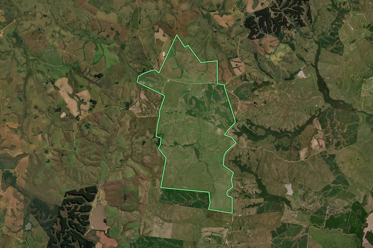 Imagem de satélite do imóvel rural em São Gabriel (RS), com o contorno declarado no CAR desenhado por cima.