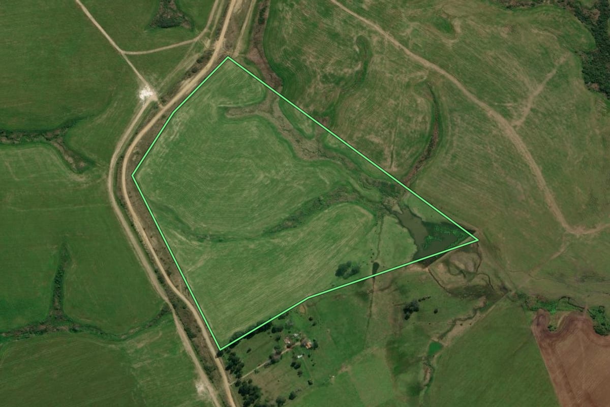 Imagem de satélite do imóvel rural em São Gabriel (RS), com o contorno declarado no CAR desenhado por cima.