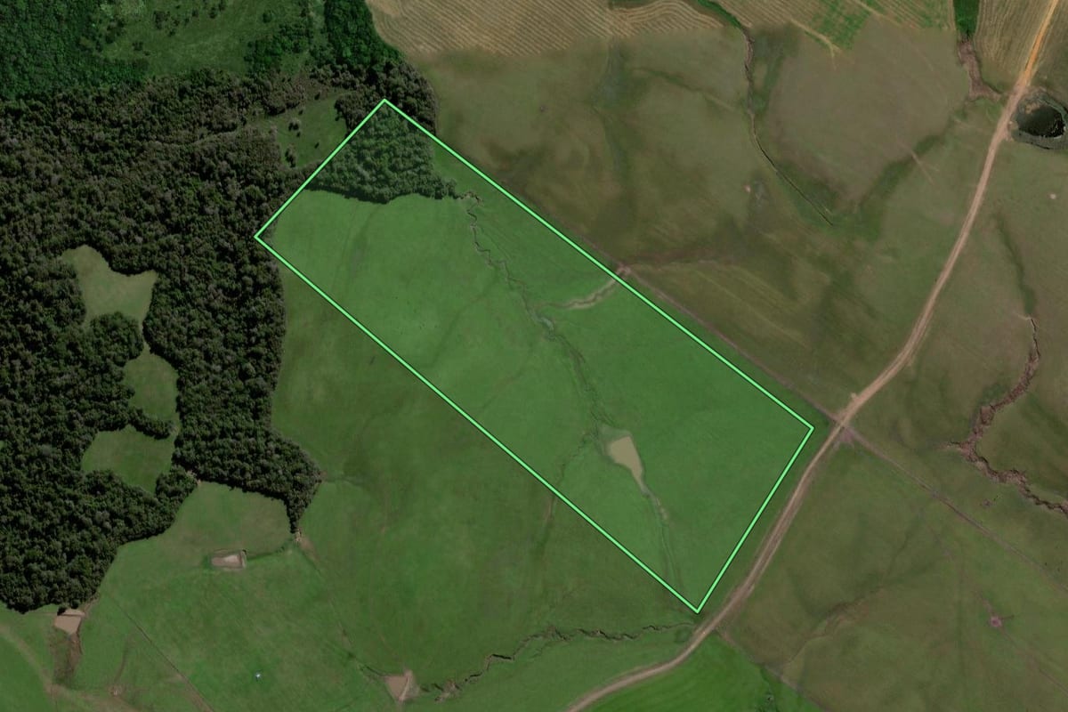 Imagem de satélite do imóvel rural em São Gabriel (RS), com o contorno declarado no CAR desenhado por cima.