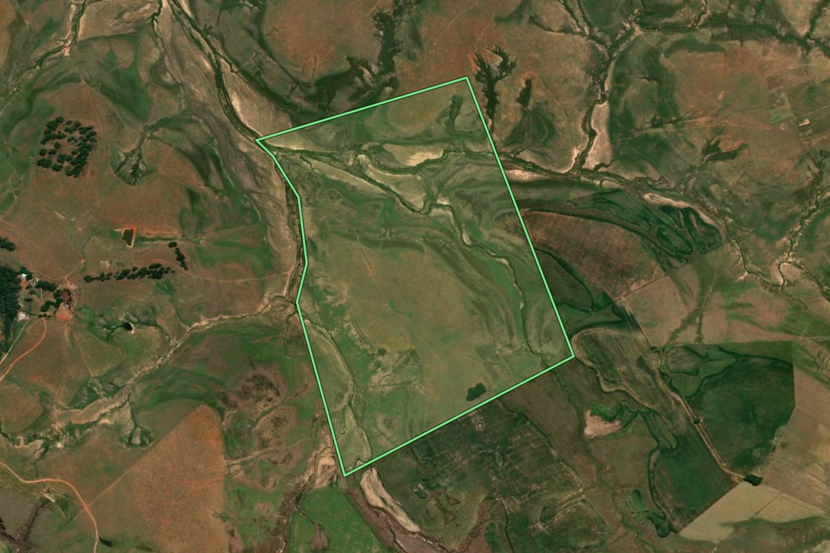 Imagem de satélite do imóvel rural em São Gabriel (RS), com o contorno declarado no CAR desenhado por cima.