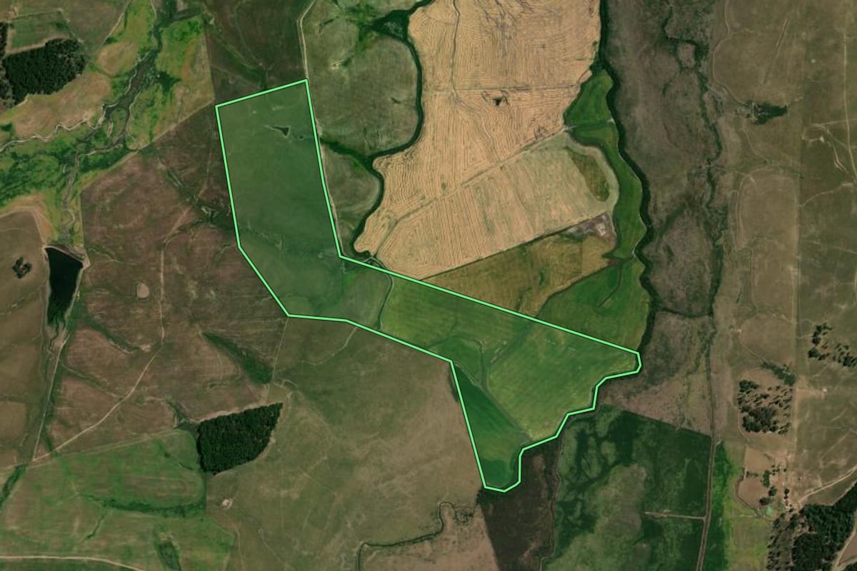 Imagem de satélite do imóvel rural em São Gabriel (RS), com o contorno declarado no CAR desenhado por cima.