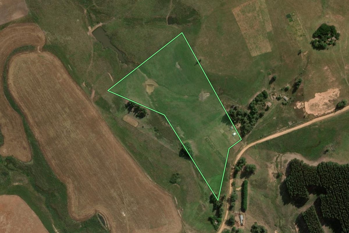 Imagem de satélite do imóvel rural em São Gabriel (RS), com o contorno declarado no CAR desenhado por cima.