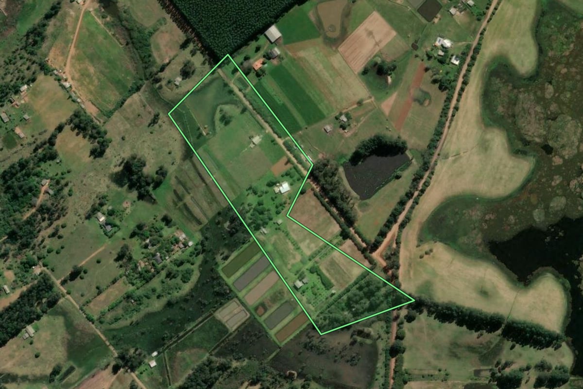 Imagem de satélite do imóvel rural em São Jerônimo (RS), com o contorno declarado no CAR desenhado por cima.