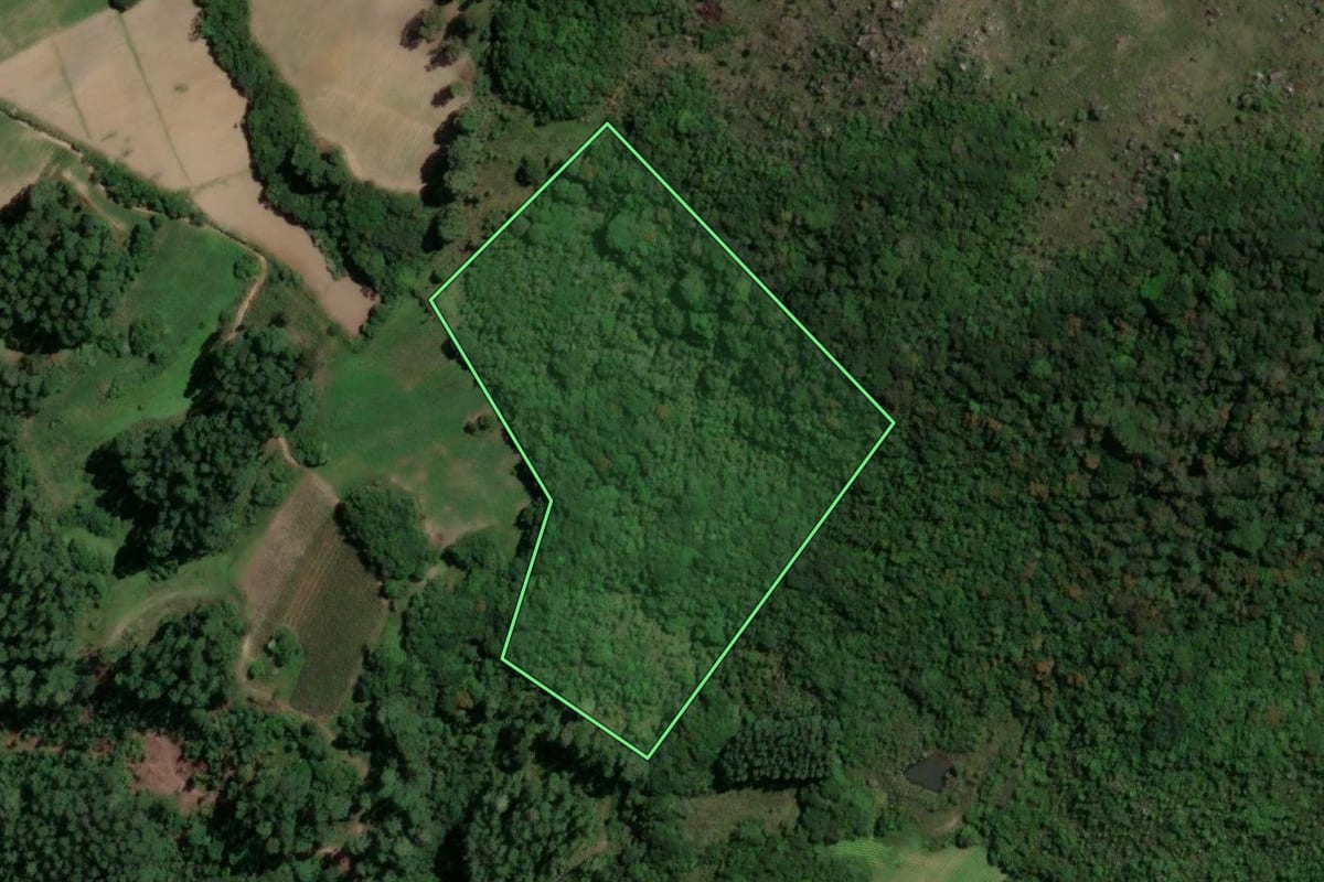 Imagem de satélite do imóvel rural em São Jerônimo (RS), com o contorno declarado no CAR desenhado por cima.
