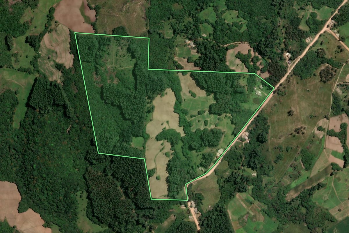 Imagem de satélite do imóvel rural em São Jerônimo (RS), com o contorno declarado no CAR desenhado por cima.