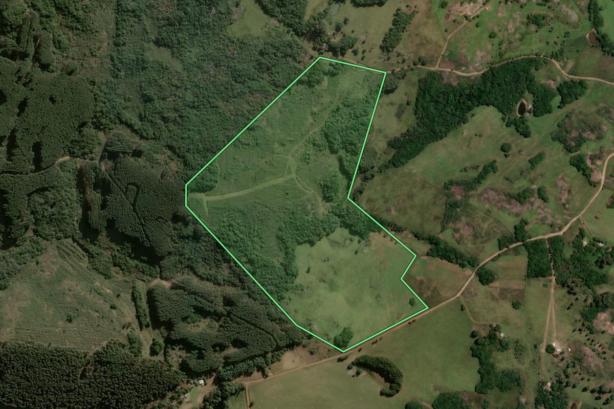 Imagem de satélite do imóvel rural em São Jerônimo (RS), com o contorno declarado no CAR desenhado por cima.