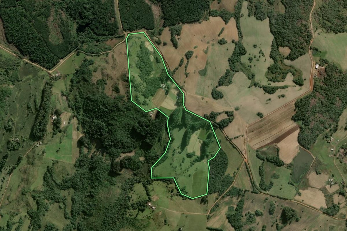 Imagem de satélite do imóvel rural em São Jerônimo (RS), com o contorno declarado no CAR desenhado por cima.