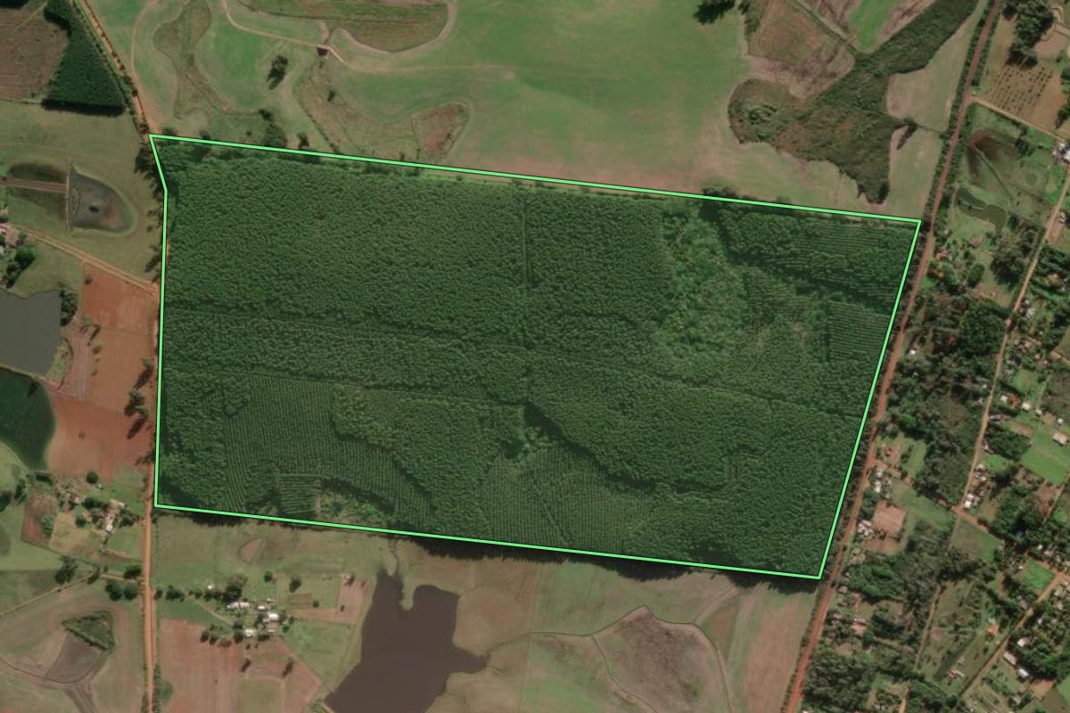 Imagem de satélite do imóvel rural em São Jerônimo (RS), com o contorno declarado no CAR desenhado por cima.