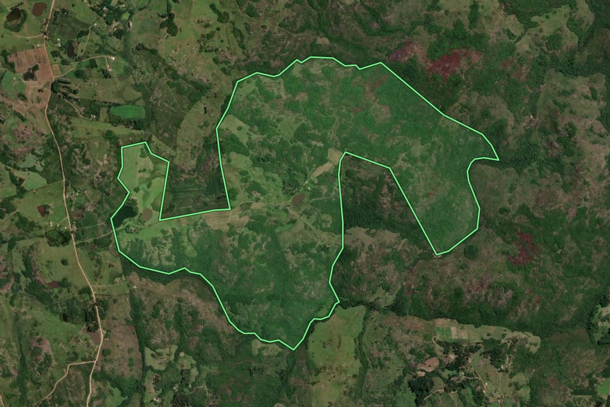 Imagem de satélite do imóvel rural em São Jerônimo (RS), com o contorno declarado no CAR desenhado por cima.