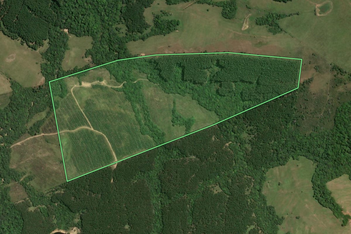 Imagem de satélite do imóvel rural em São Jerônimo (RS), com o contorno declarado no CAR desenhado por cima.