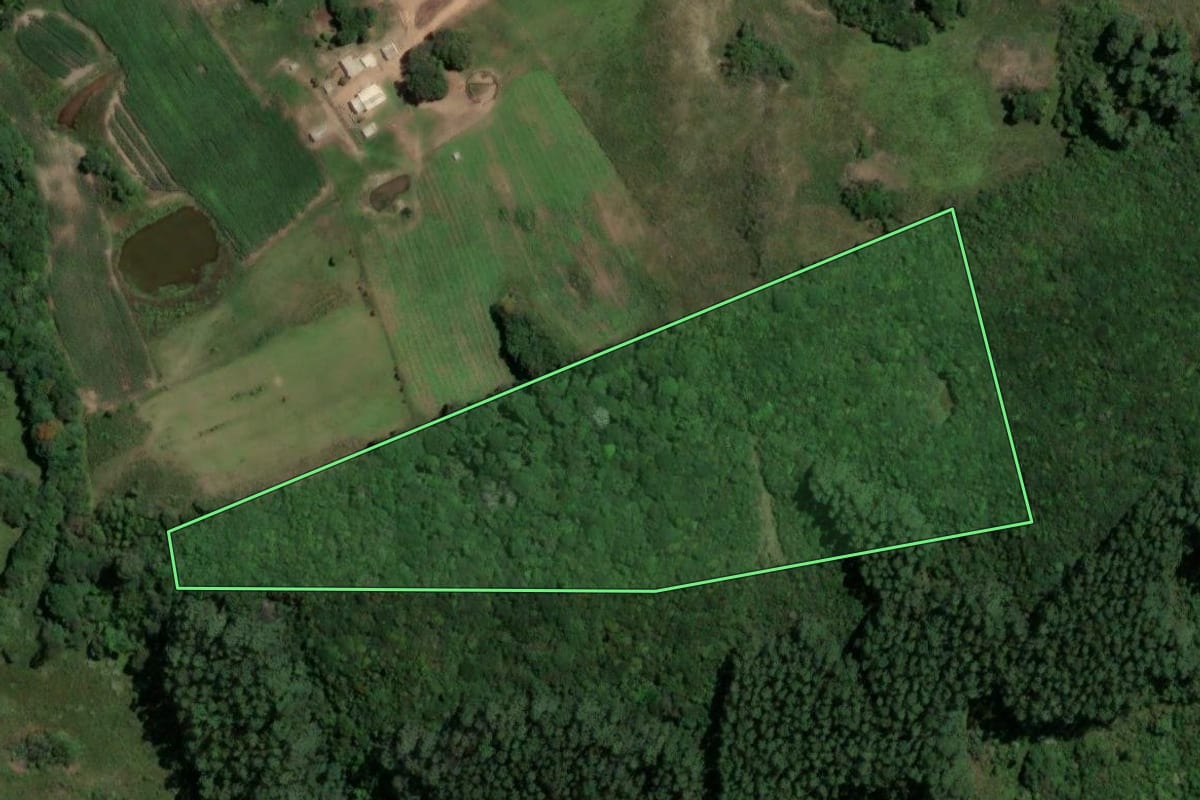 Imagem de satélite do imóvel rural em São Jerônimo (RS), com o contorno declarado no CAR desenhado por cima.