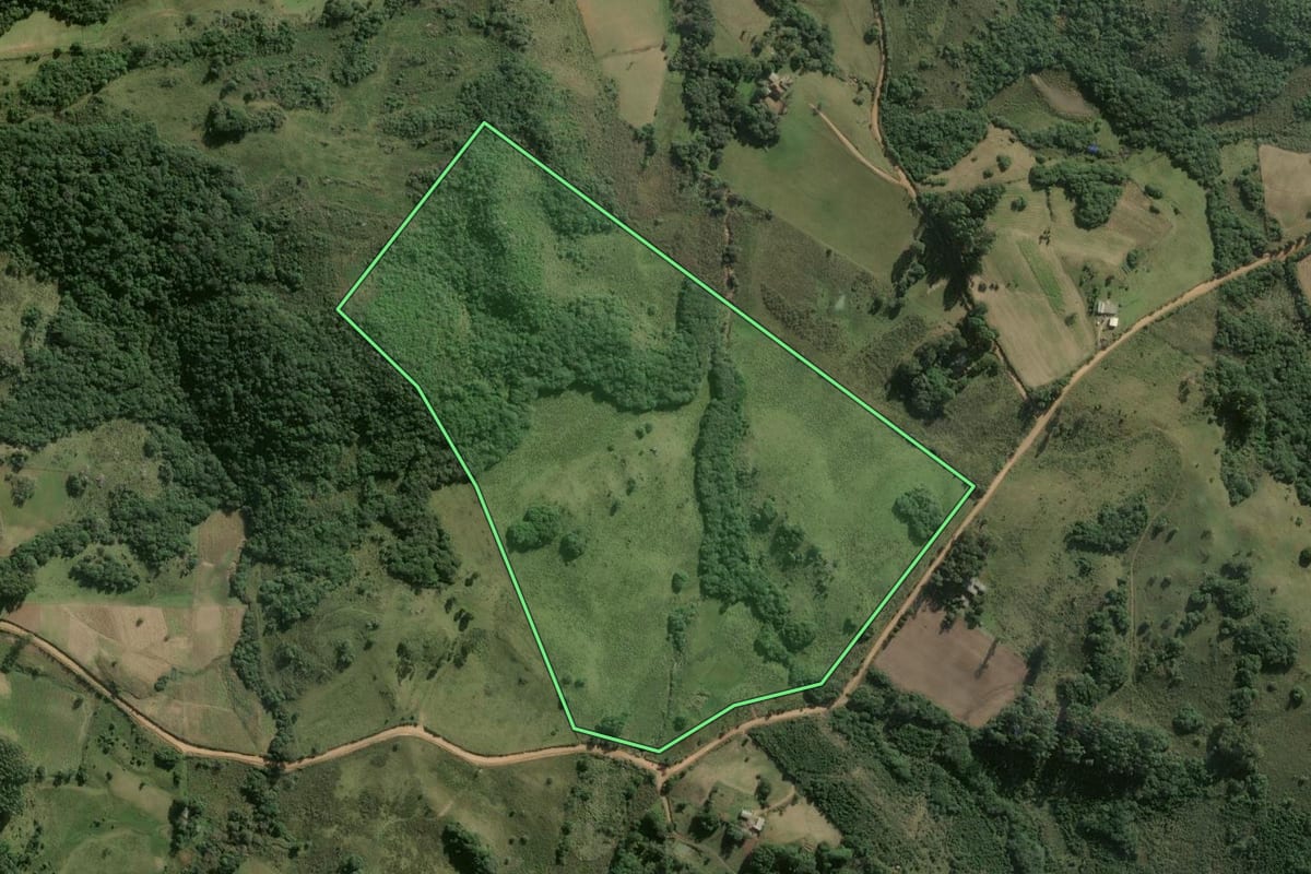 Imagem de satélite do imóvel rural em São Jerônimo (RS), com o contorno declarado no CAR desenhado por cima.