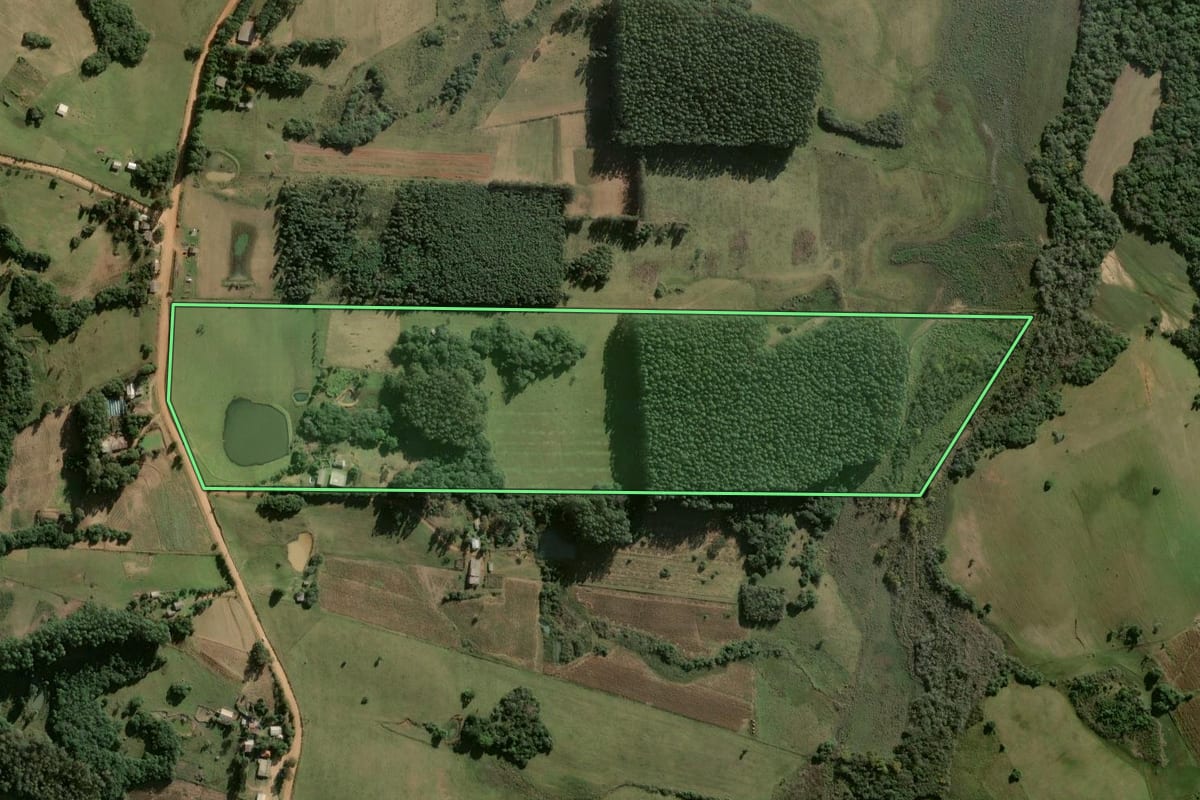 Imagem de satélite do imóvel rural em São Jerônimo (RS), com o contorno declarado no CAR desenhado por cima.