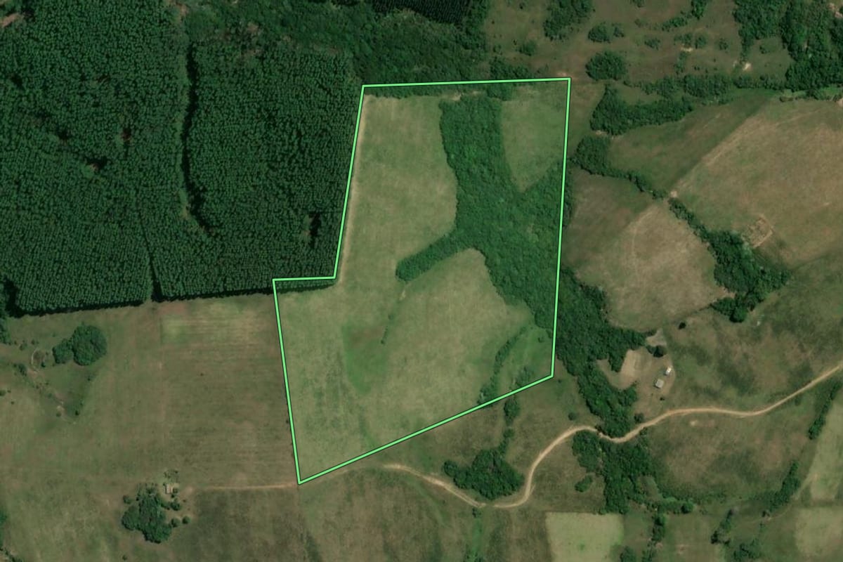 Imagem de satélite do imóvel rural em São Jerônimo (RS), com o contorno declarado no CAR desenhado por cima.