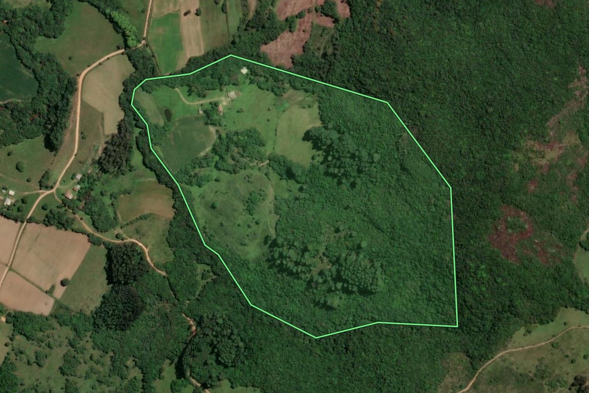 Imagem de satélite do imóvel rural em São Jerônimo (RS), com o contorno declarado no CAR desenhado por cima.