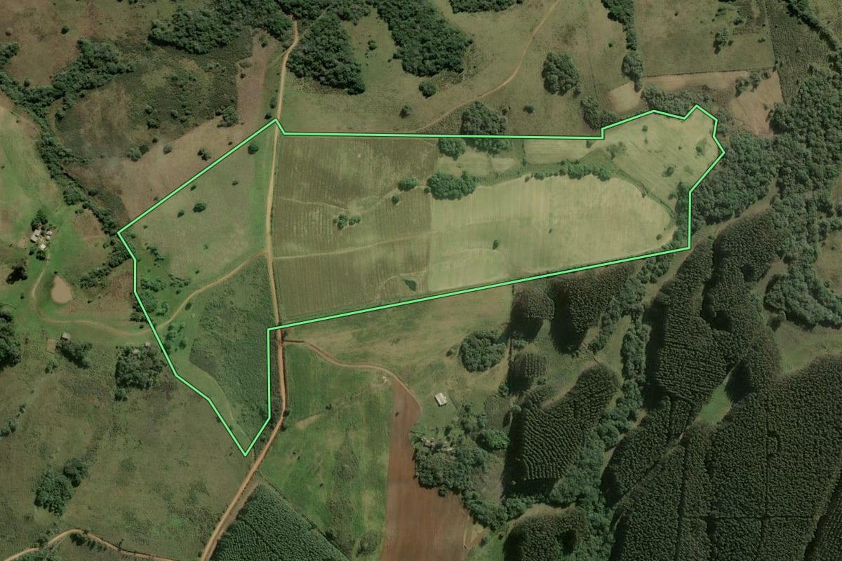 Imagem de satélite do imóvel rural em São Jerônimo (RS), com o contorno declarado no CAR desenhado por cima.