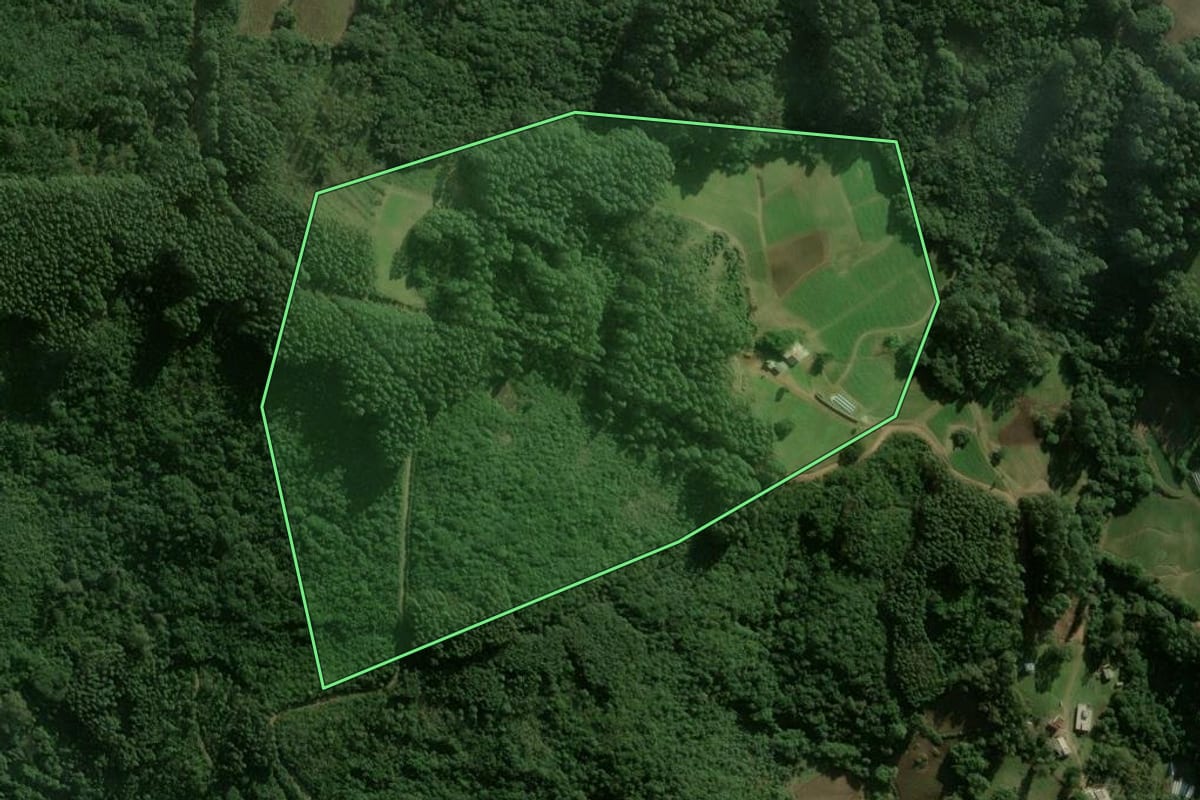 Imagem de satélite do imóvel rural em São Jerônimo (RS), com o contorno declarado no CAR desenhado por cima.