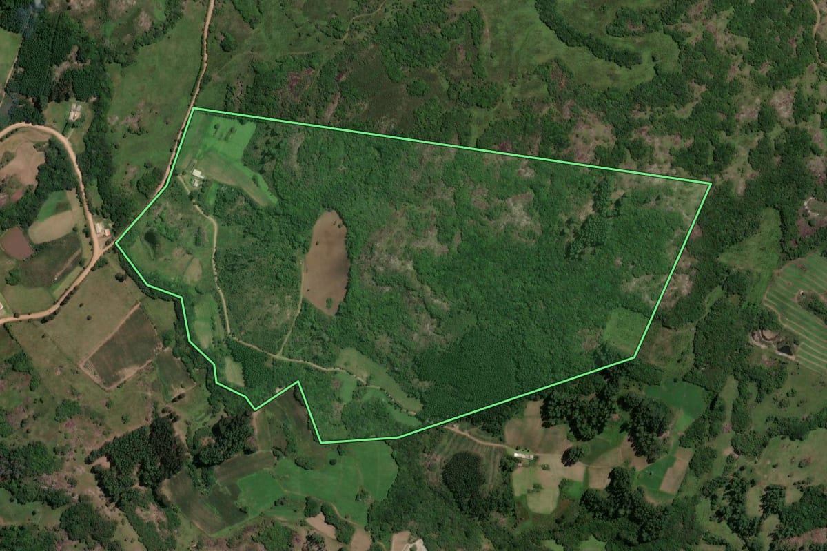 Imagem de satélite do imóvel rural em São Jerônimo (RS), com o contorno declarado no CAR desenhado por cima.
