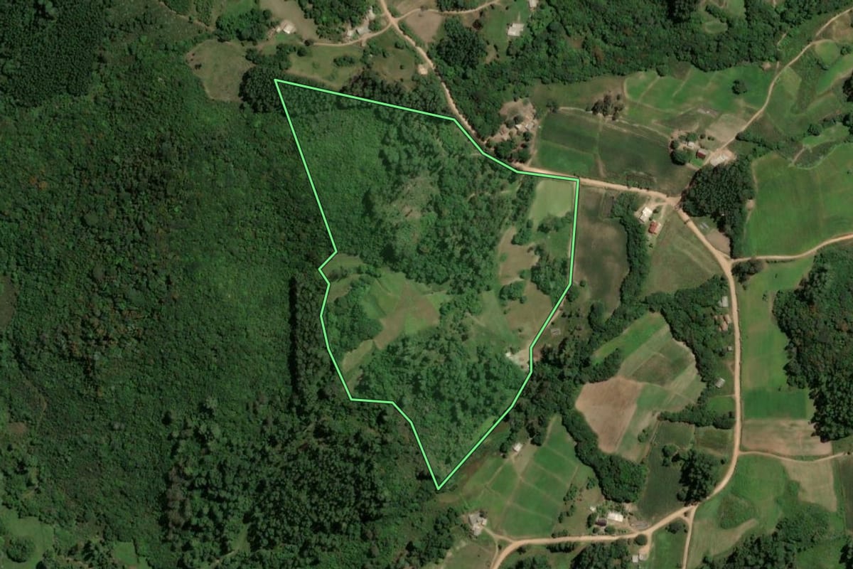 Imagem de satélite do imóvel rural em São Jerônimo (RS), com o contorno declarado no CAR desenhado por cima.