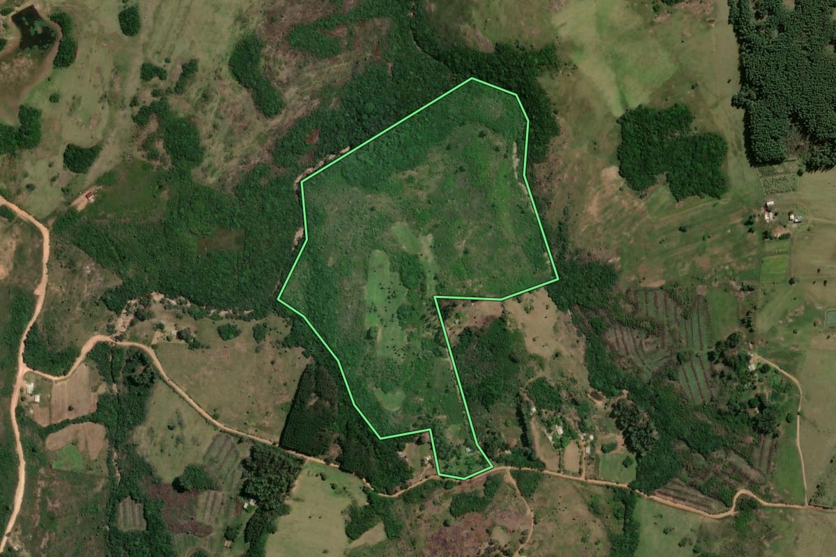 Imagem de satélite do imóvel rural em São Jerônimo (RS), com o contorno declarado no CAR desenhado por cima.