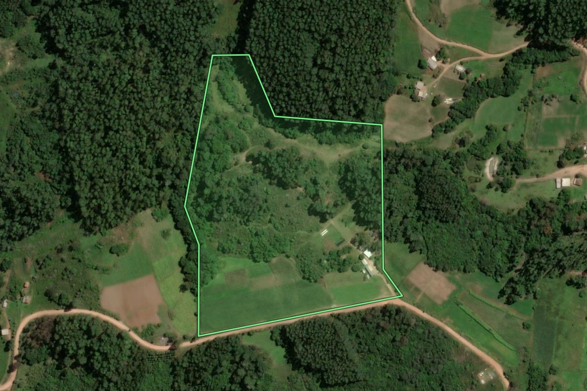 Imagem de satélite do imóvel rural em São Jerônimo (RS), com o contorno declarado no CAR desenhado por cima.