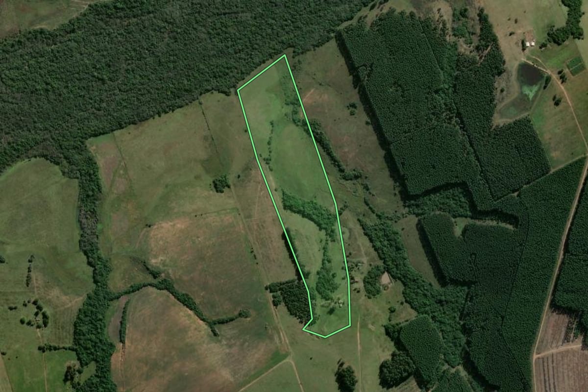 Imagem de satélite do imóvel rural em São Jerônimo (RS), com o contorno declarado no CAR desenhado por cima.