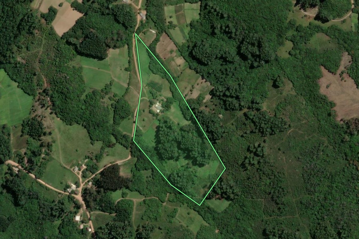 Imagem de satélite do imóvel rural em São Jerônimo (RS), com o contorno declarado no CAR desenhado por cima.