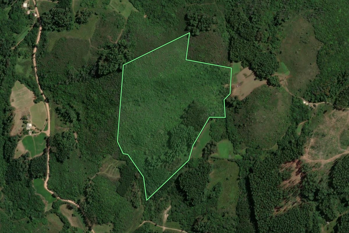 Imagem de satélite do imóvel rural em São Jerônimo (RS), com o contorno declarado no CAR desenhado por cima.