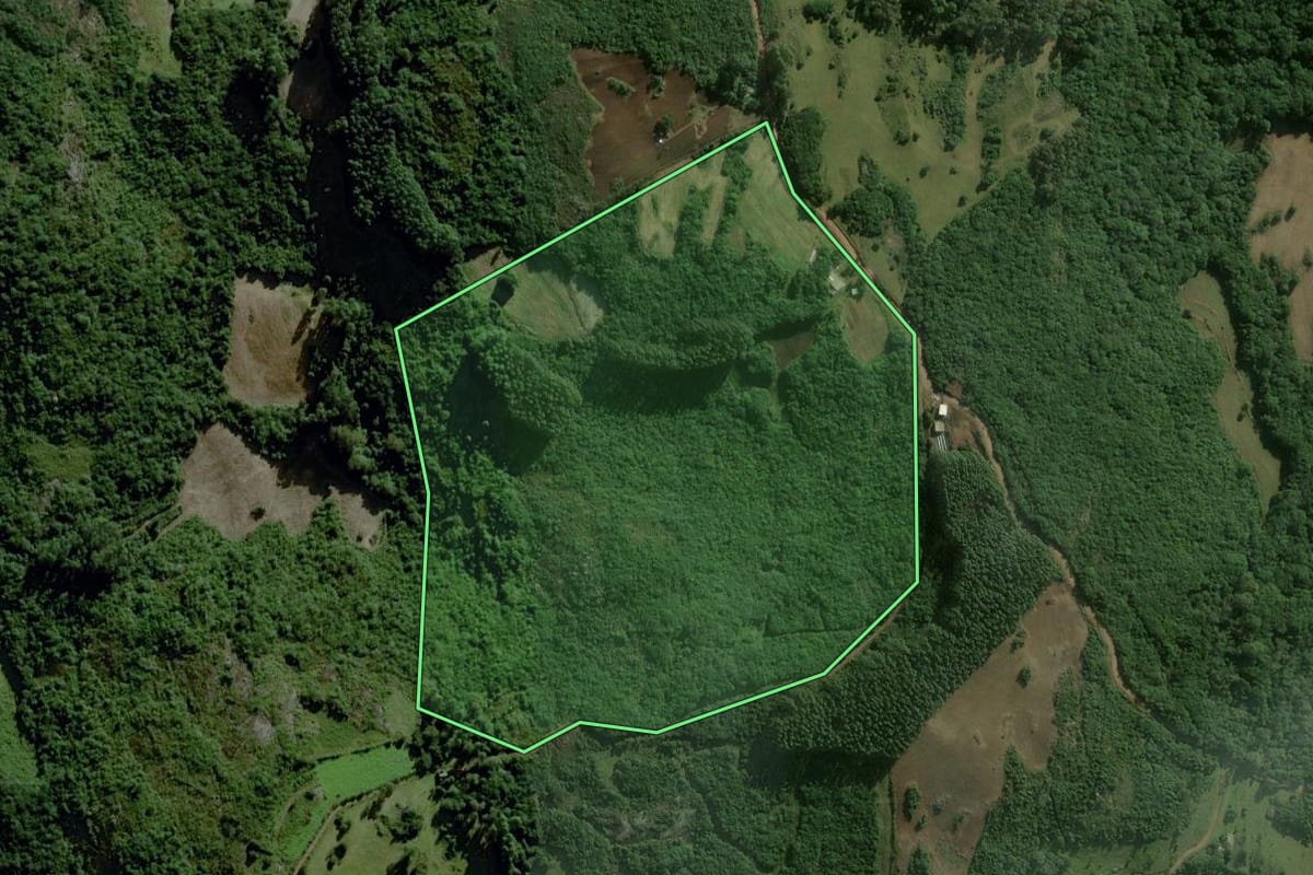 Imagem de satélite do imóvel rural em São Jerônimo (RS), com o contorno declarado no CAR desenhado por cima.