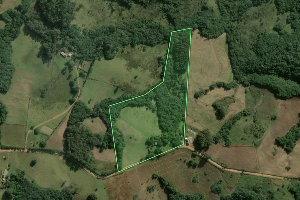 Imagem de satélite do imóvel rural em São Jerônimo (RS), com o contorno declarado no CAR desenhado por cima.