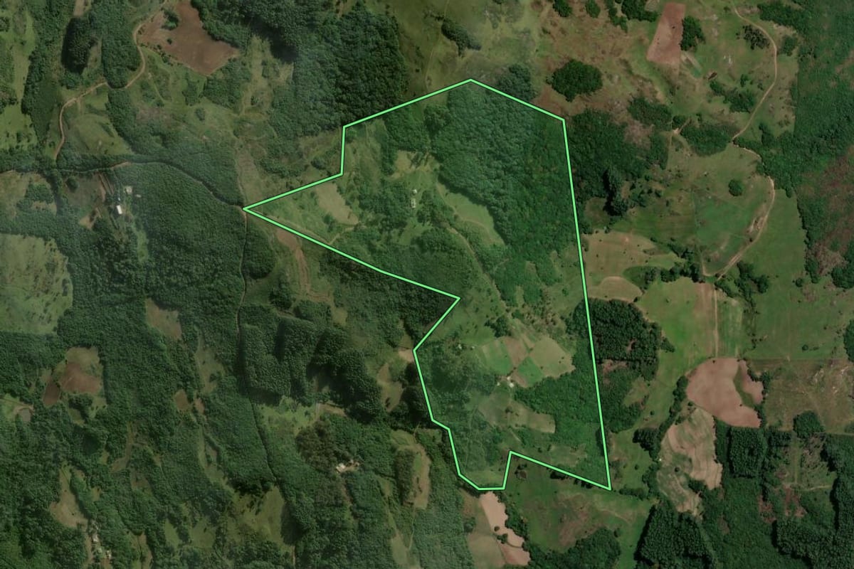Imagem de satélite do imóvel rural em São Jerônimo (RS), com o contorno declarado no CAR desenhado por cima.