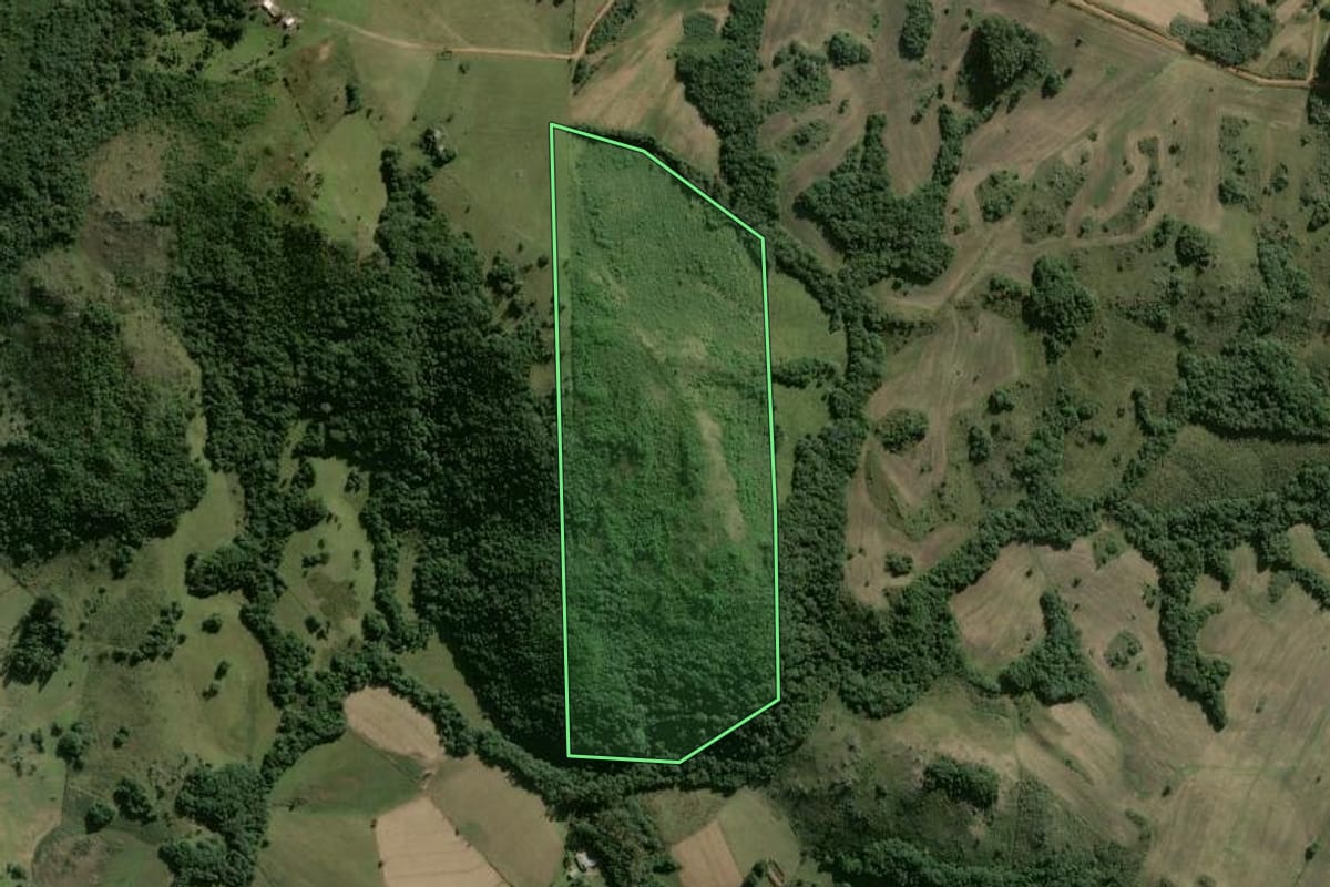 Imagem de satélite do imóvel rural em São Jerônimo (RS), com o contorno declarado no CAR desenhado por cima.