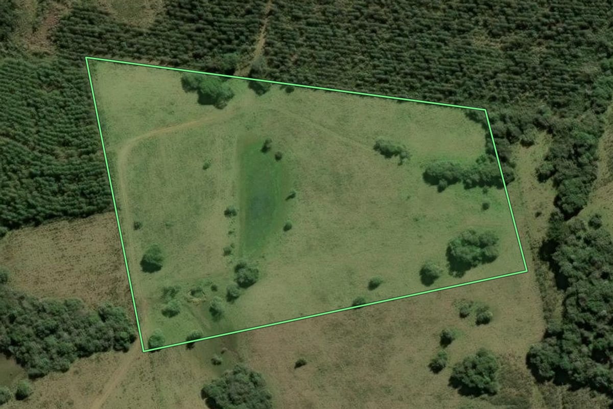 Imagem de satélite do imóvel rural em São Jerônimo (RS), com o contorno declarado no CAR desenhado por cima.