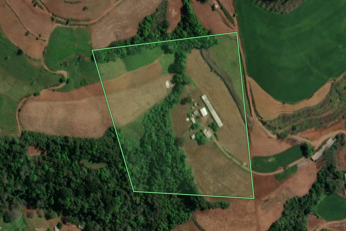 Imagem de satélite do imóvel rural em São João da Urtiga (RS), com o contorno declarado no CAR desenhado por cima.