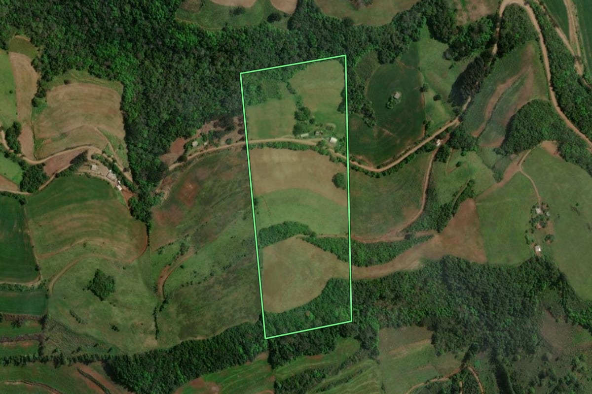Imagem de satélite do imóvel rural em São João da Urtiga (RS), com o contorno declarado no CAR desenhado por cima.
