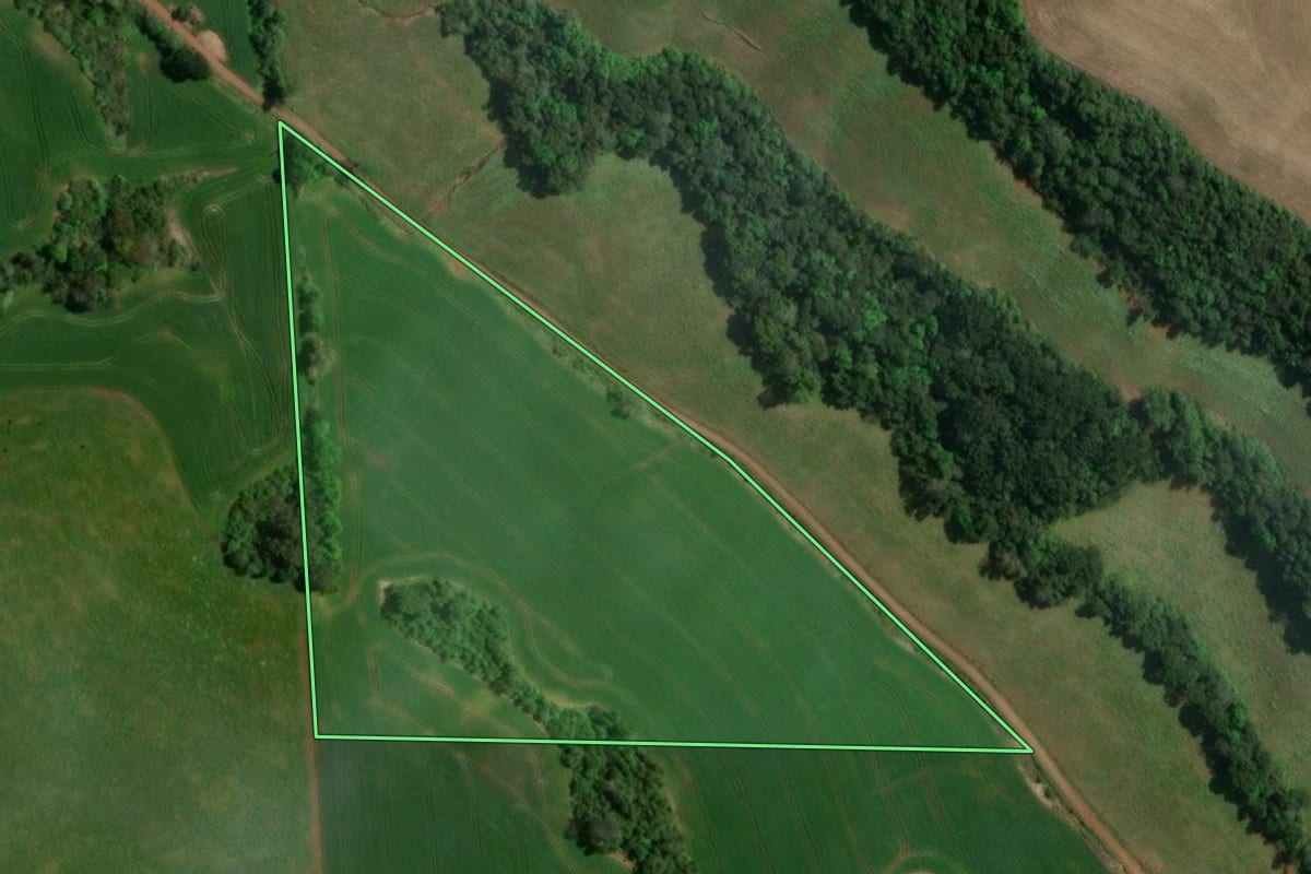 Imagem de satélite do imóvel rural em São João da Urtiga (RS), com o contorno declarado no CAR desenhado por cima.