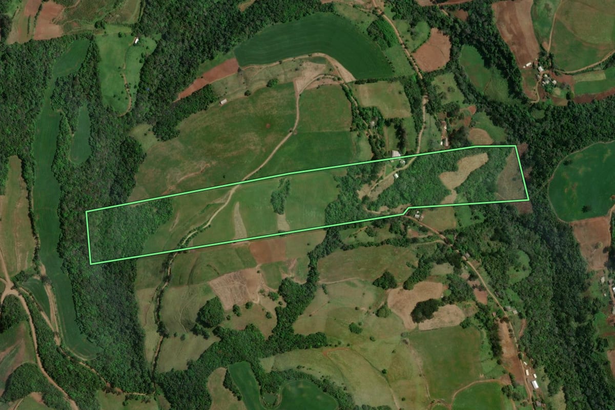 Imagem de satélite do imóvel rural em São João da Urtiga (RS), com o contorno declarado no CAR desenhado por cima.