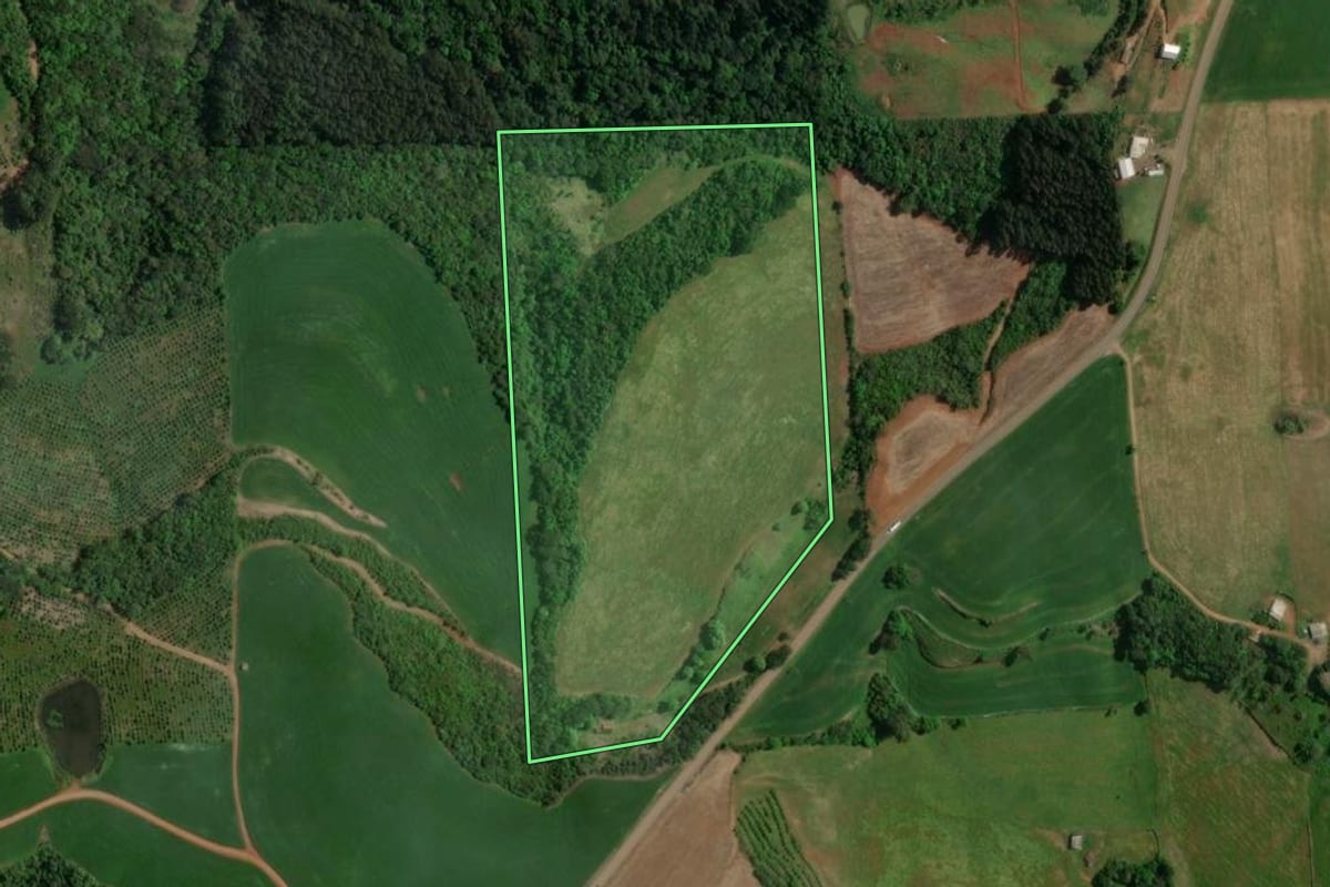 Imagem de satélite do imóvel rural em São João da Urtiga (RS), com o contorno declarado no CAR desenhado por cima.