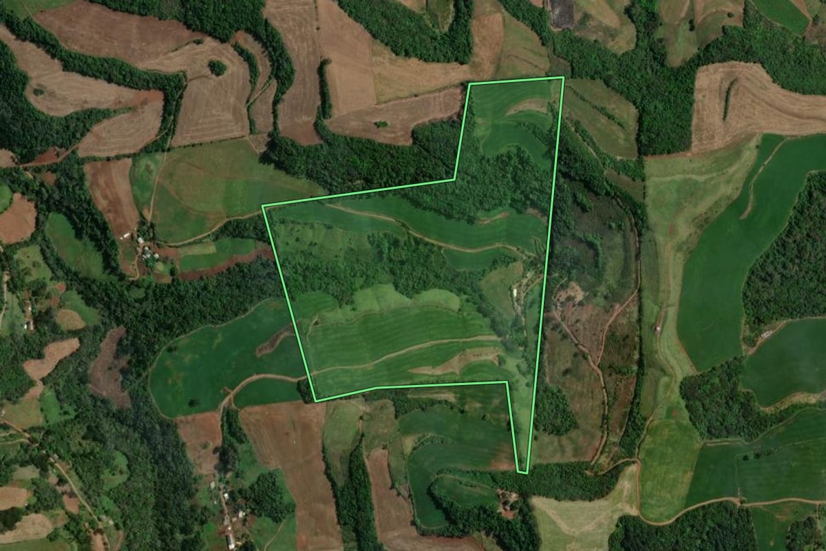 Imagem de satélite do imóvel rural em São João da Urtiga (RS), com o contorno declarado no CAR desenhado por cima.